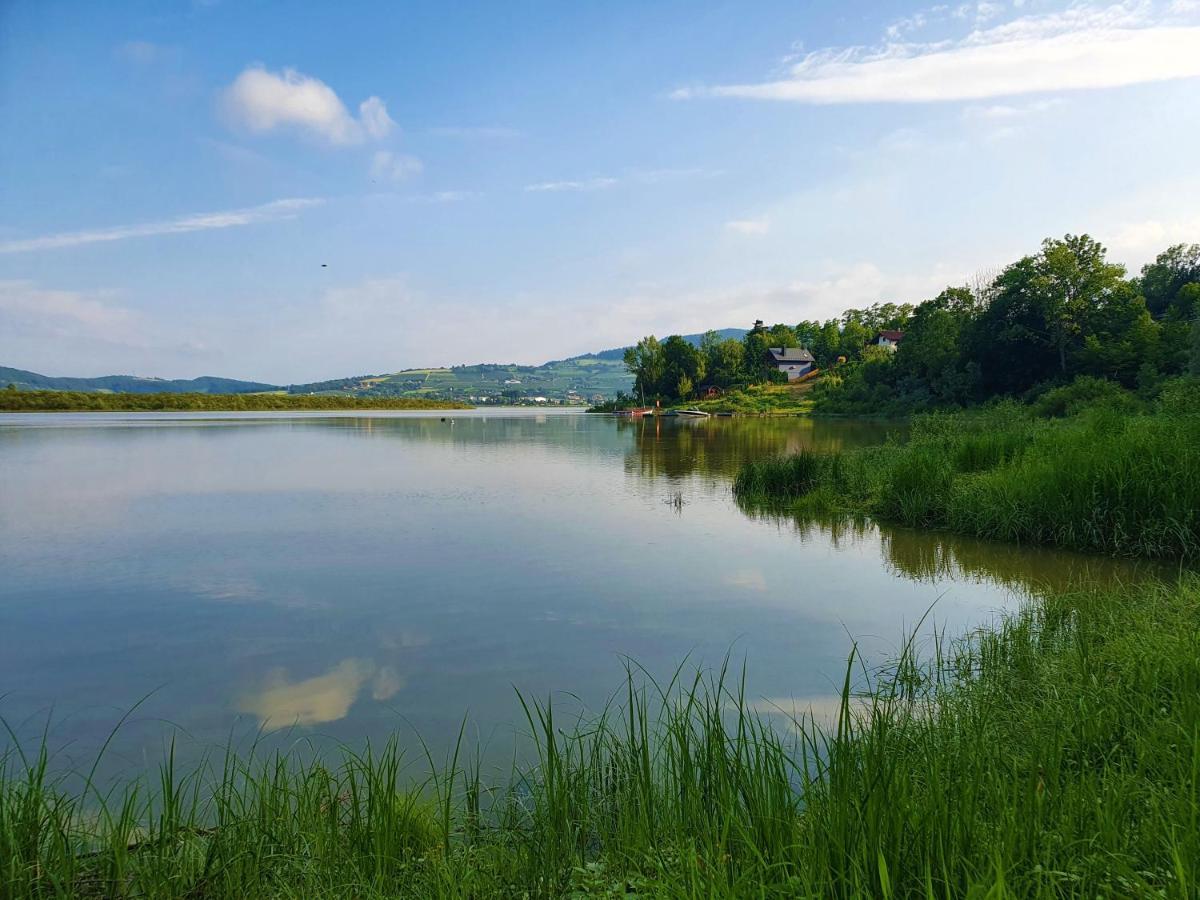 Dom Nad Jeziorem Roznowskim Tegoborze Kültér fotó